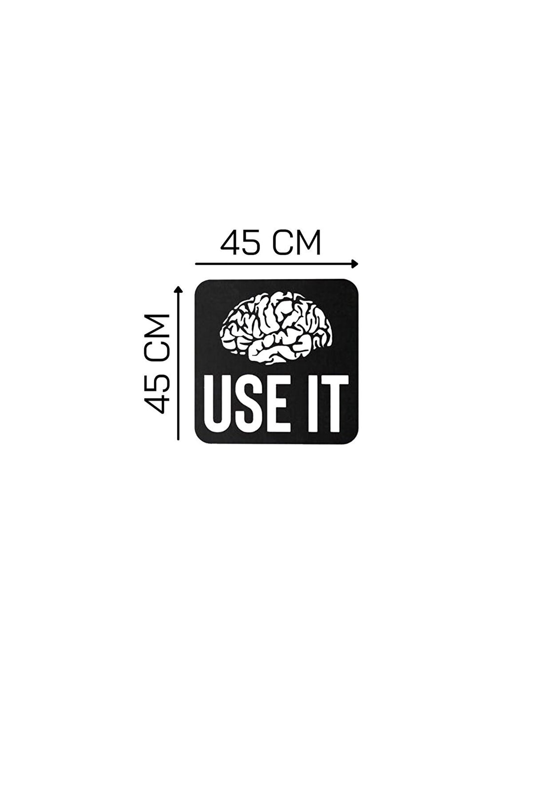 Brain USE IT