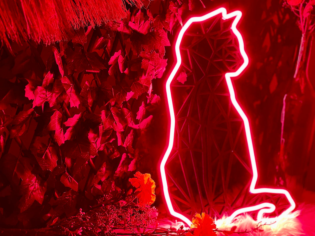 Cat Neon Sign - BT Home