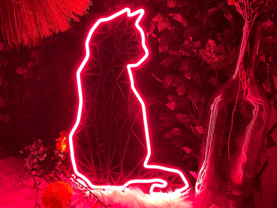 Cat Neon Sign - BT Home