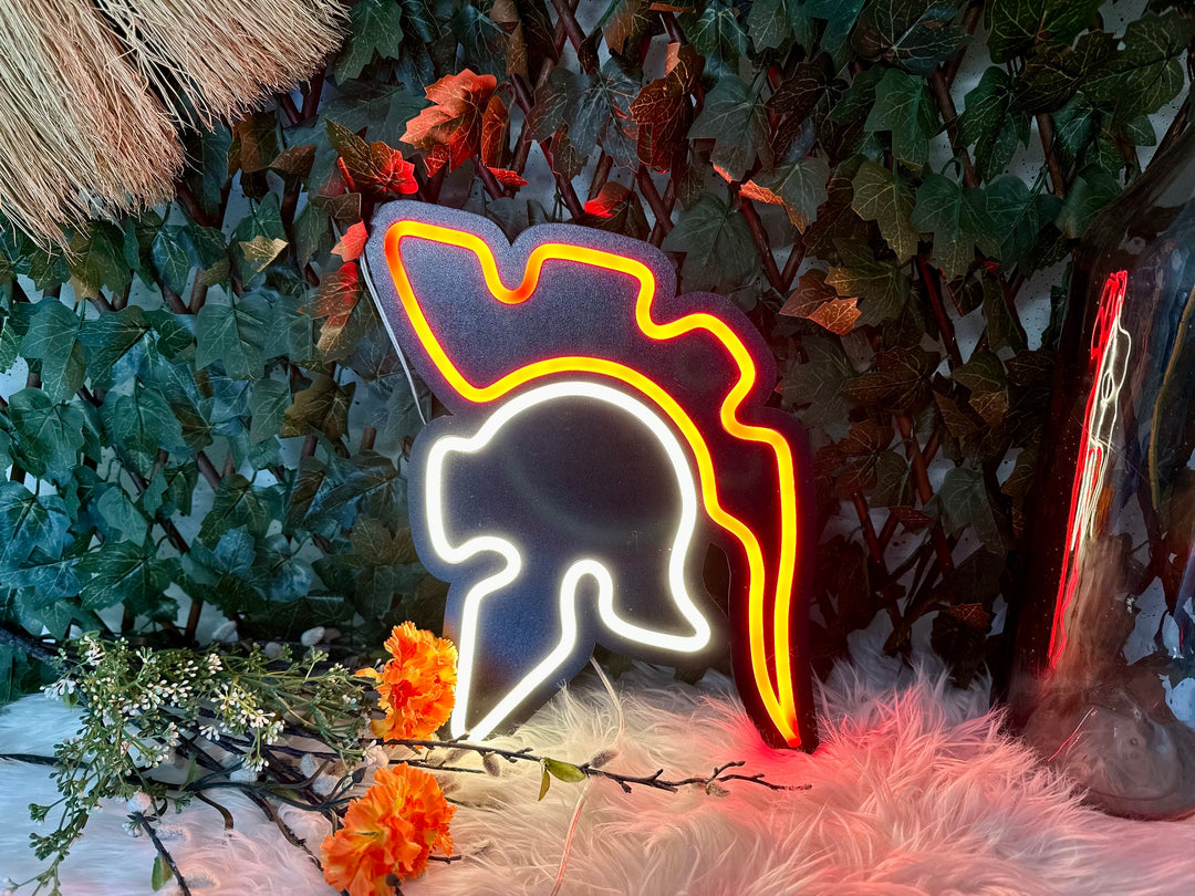 Romein Neon Sign - BT Home