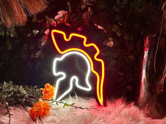 Romein Neon Sign - BT Home