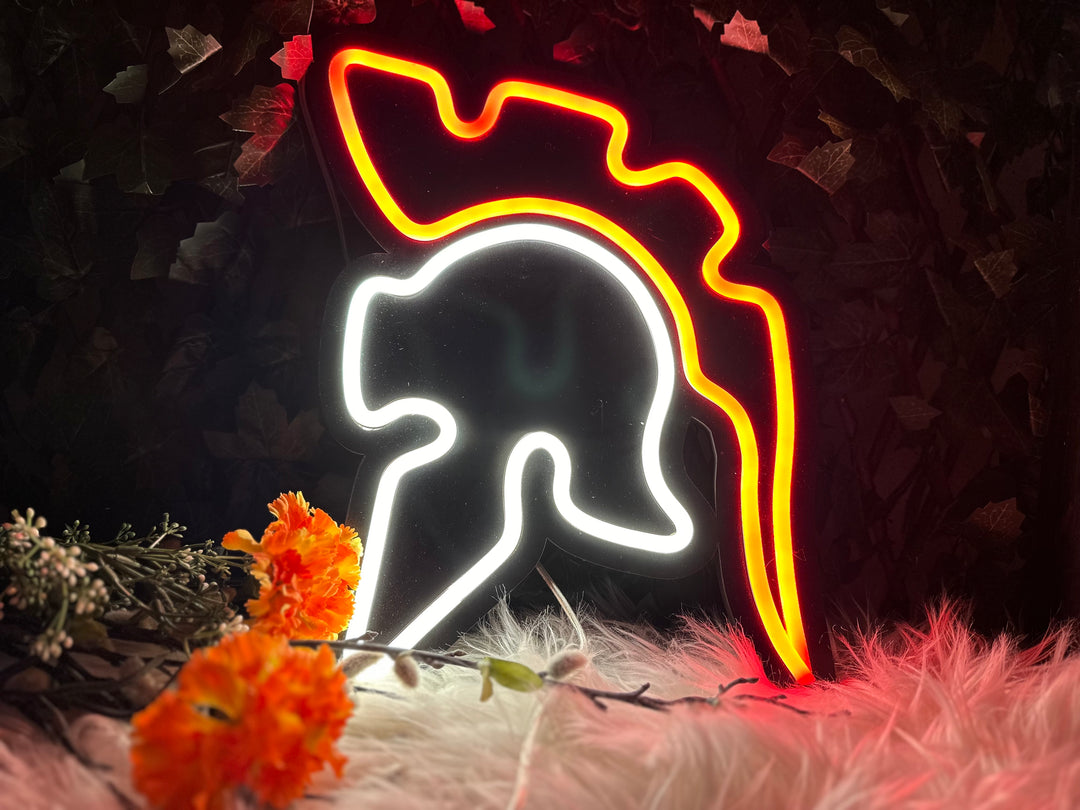 Romein Neon Sign - BT Home