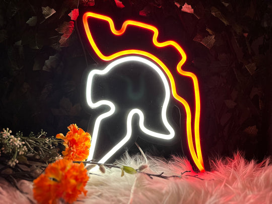 Romein Neon Sign - BT Home