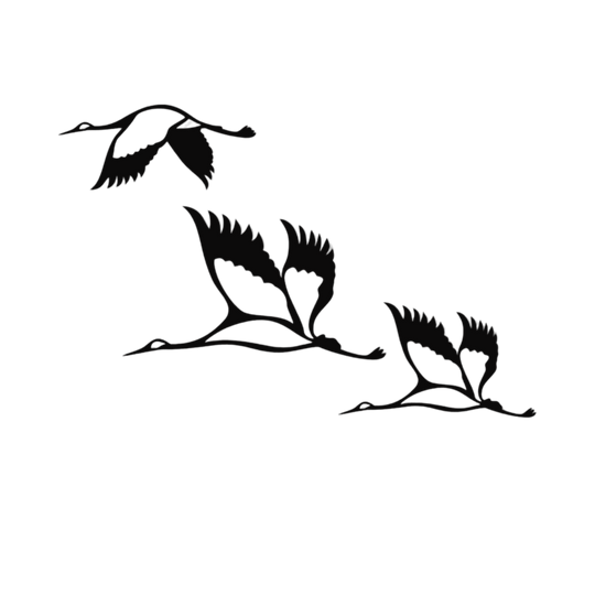 3 stuks Zwem Vogels - BT Home